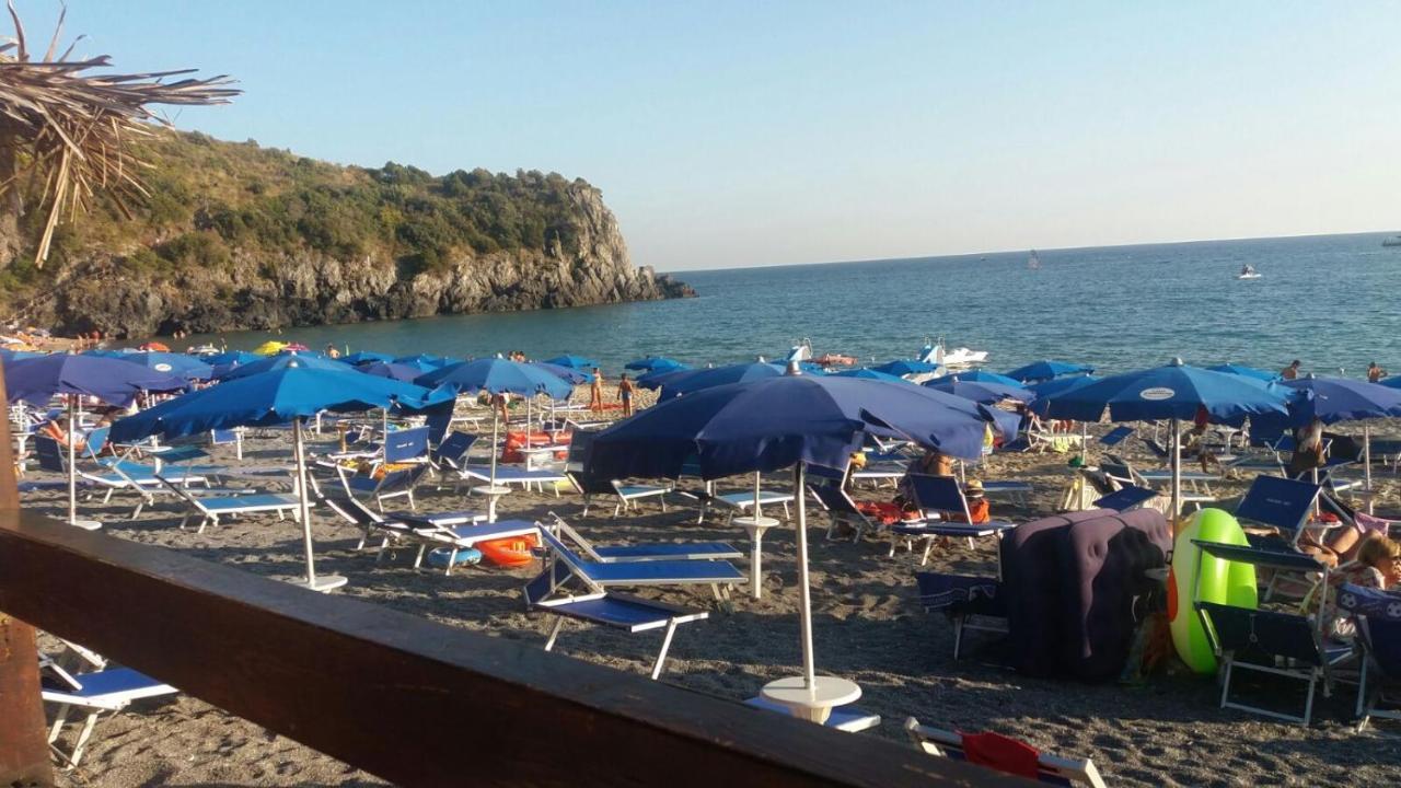 L'ulivo *
