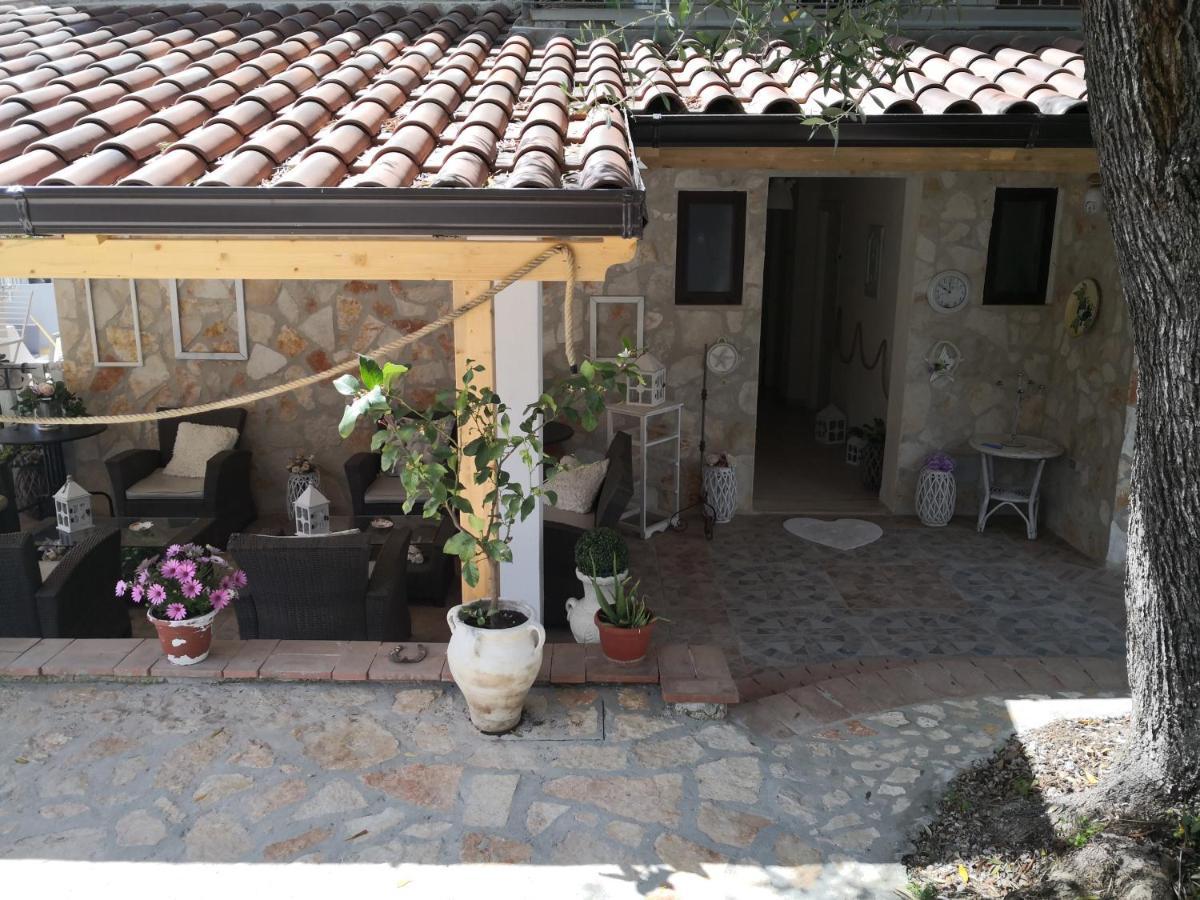 L'ulivo * Marina di Camerota
